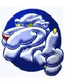 Georgia State Panthers