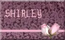 Shirley