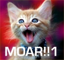 KITTEH DEMANZ MOAR!!1
