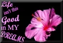 My life isnt this good in my dreams (with pink flower)