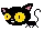 weird cat