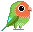 parrot