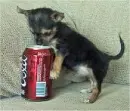 So cute