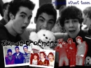 Jonas Brothers