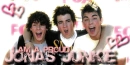 Jonas Brothers