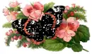 butterfly with flowers