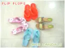 flip-flops && sanDals