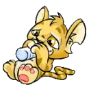 NEOPETS