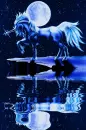 BlueUnicorn