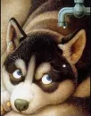 Perro