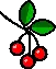 little cherry