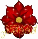 Red Spikey Flower Jovanna