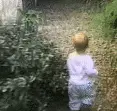 sparta
