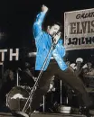 Elvis
