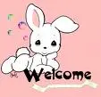 bunny 