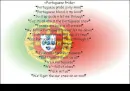 Portuguese Pride Def.