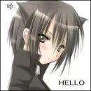 hello
