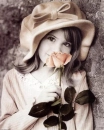 Pink rose