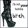 Bitch
