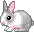 sniffing bunny