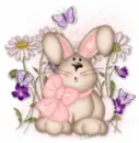 bunny &&flowers