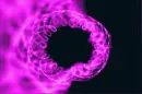 Background Black Pink Cheetah Swirls