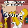 SPIDERPIG