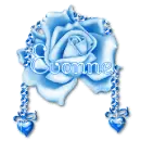 Evonne