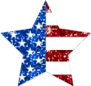 u.s.a flag star