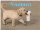 Yummy!