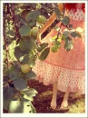 girl in feild