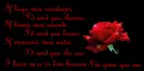 Love Poem w/ Rose