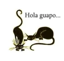 Hola guapo