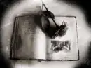 flower on book