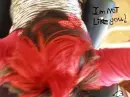 I'm not like you