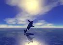 whater