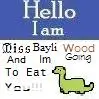 Bayli Wood 