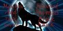 wolf's rain