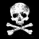 logan - skull