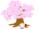sakura tree