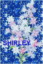 Shirley