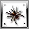 Tarantula