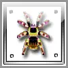 Tarantula