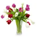 Tulips in Vase