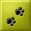 paw prints