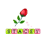 Stacey