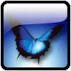 Blue Butterfly