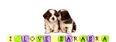 I Love Barabra
