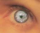 eyes