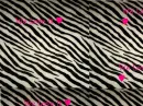Zebra Love *We Love It ~LYTS~*